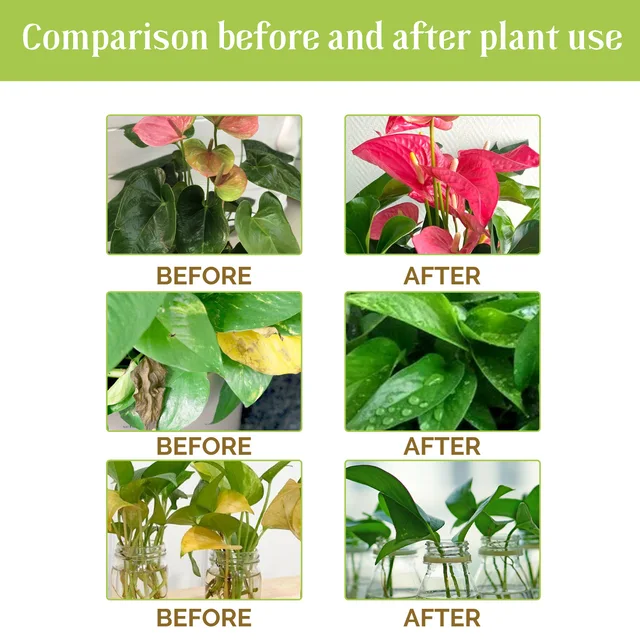 Növények Tápanyagoldat Kerti Lombos Gyors Virág-Elősegítő Növényi Levelek Cserepes Zöld Koncentrált Műtrágya - Image 6