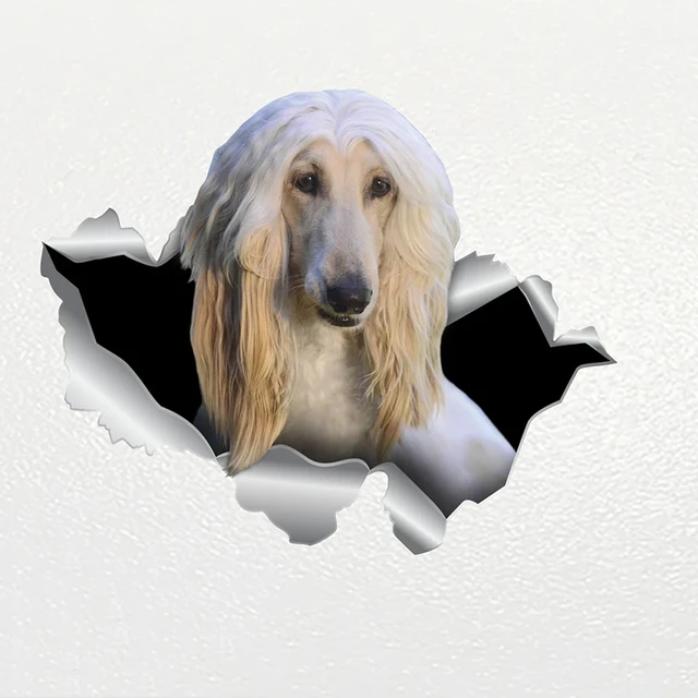 S62201# Car Sticker Afghan Hound Dog Pet Animal Waterproof Vinyl Decal Car Decor Pegatinas Para Coche - Car Stickers - AliExpress