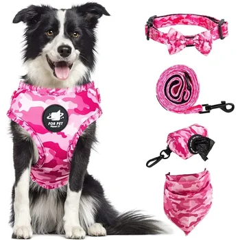 All-In-One Pet Harness Set 1