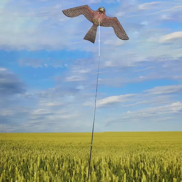 Madár Sólyom Ijesztő Repülő Sárkány Kiegészítő Csak A Háztáji Gyep Kerti Farmnövények Farm Scarer Tribellens Repülõ - Image 2