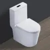 Small One Piece Toilet 23" Depth Modern Compact Short Design with Matte Black Button for Small Tiny Mini Bathroom 12" Rough-in 1