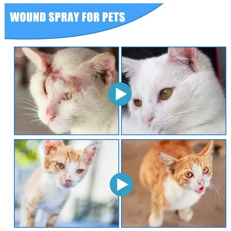 Pets Anti-Itch And Itch Relief Spray Skin Care Treat Products For Itchy And Sensitive Dogs Cat 30ml pet anti itch spray
