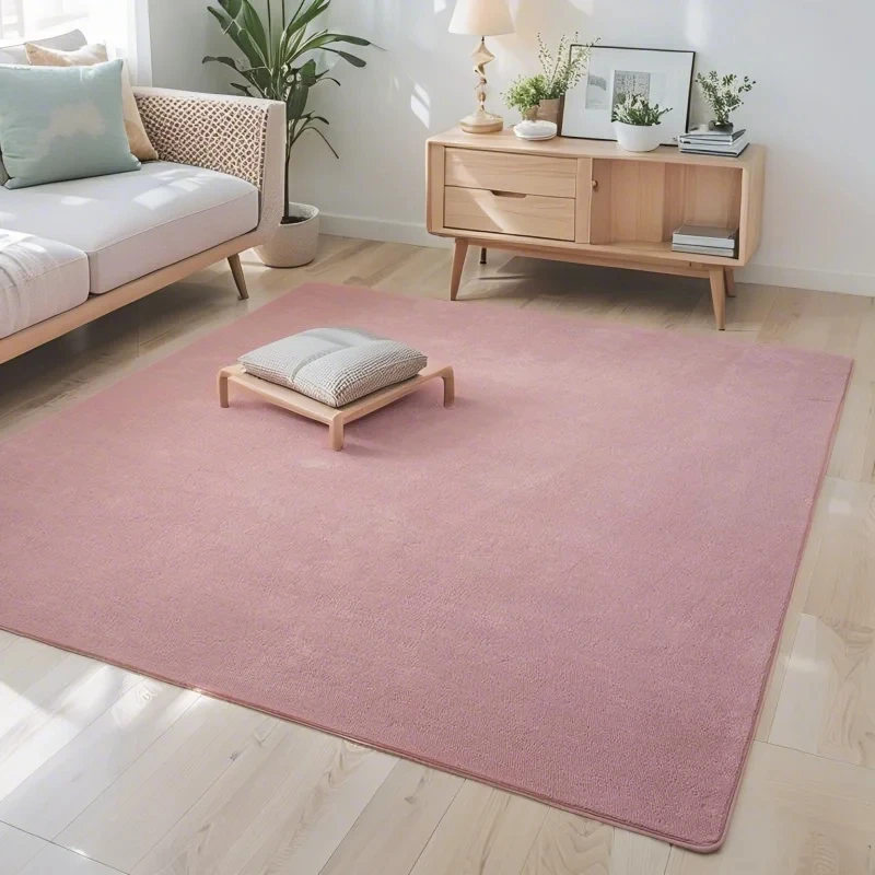 Ultra Soft Short Plush Carpet Anti Slip For Living Room Modern Sofa Area Rugs Children's Bedroom Game Mats Bedside Carpet Gray 6