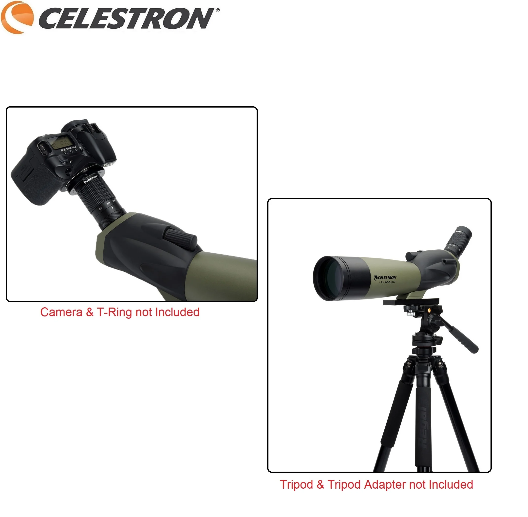Celestron Ultima 80mm Angled Spotting Scope 20-60x Zoom Telescopic