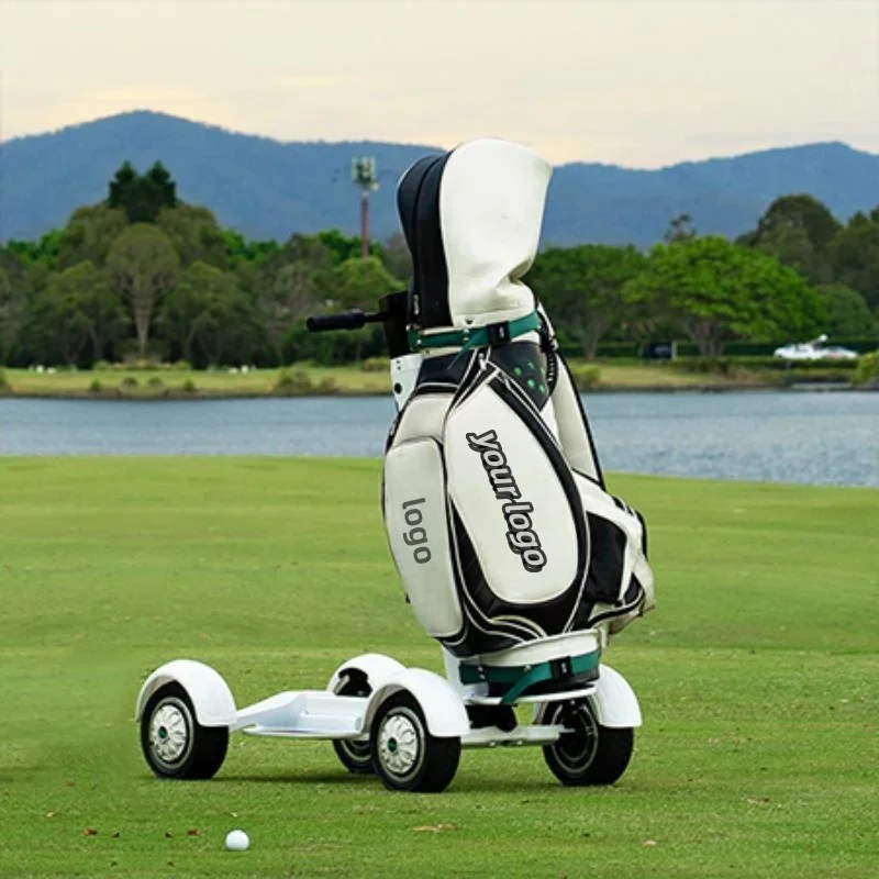 Electric Golf Scooter 2000w 48v H Battery Mini Golf Cart Newest Single Person