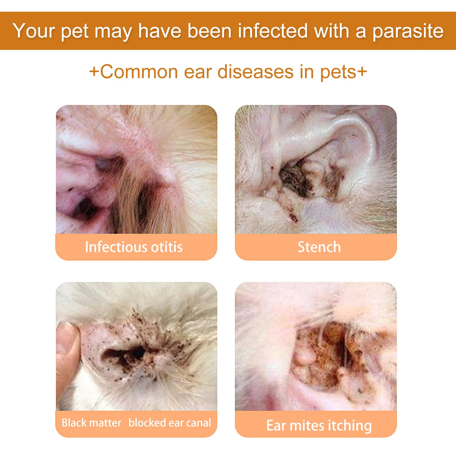 Pet Ear Cleaner with Cotton Swab for Cat and Dog Ear Mite Removal Itching Relief Cleaning Drops Canal Deodorization