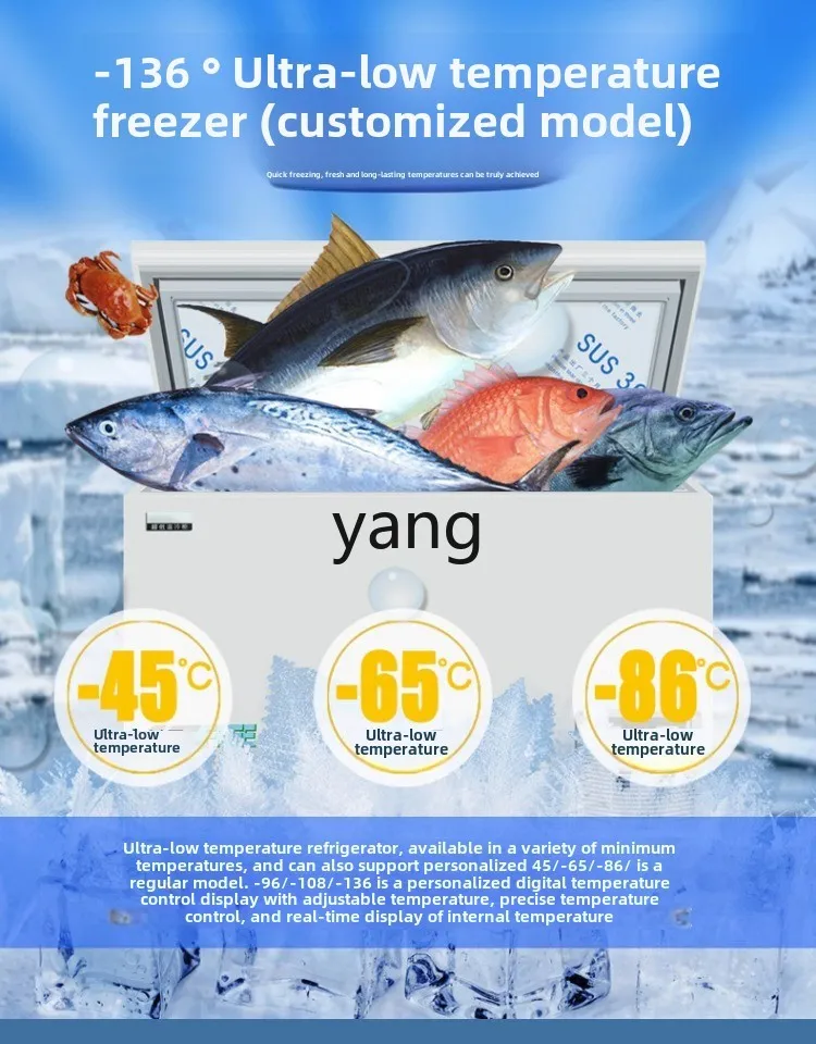 LMM minus 45 degrees 60 degrees 80 tuna seafood commercial laboratory quick-freezing freezer
