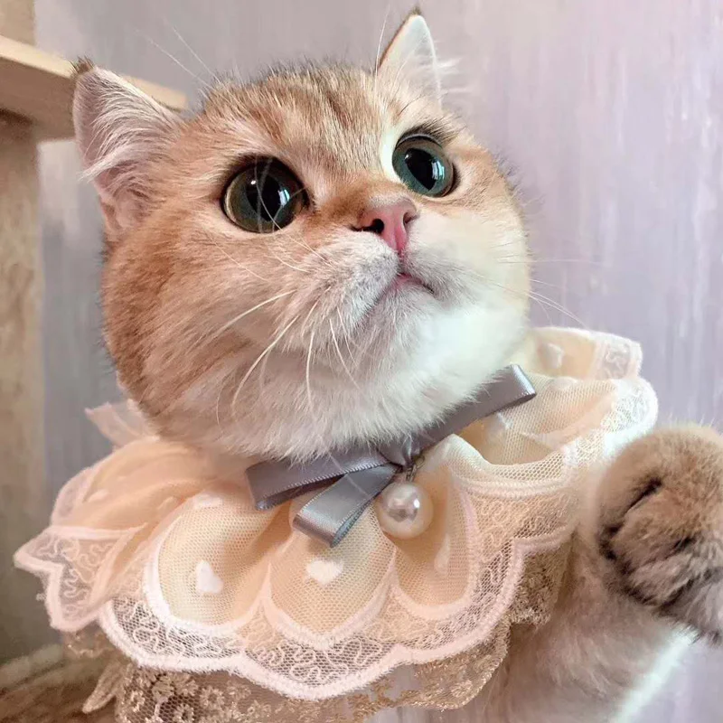 Ins Style Cat Dog Puppy Lolita Collar Neckerchief Pet Kitten Lace Adiustable Floral Cats Necklace Photograph Neck Strap Scarf |