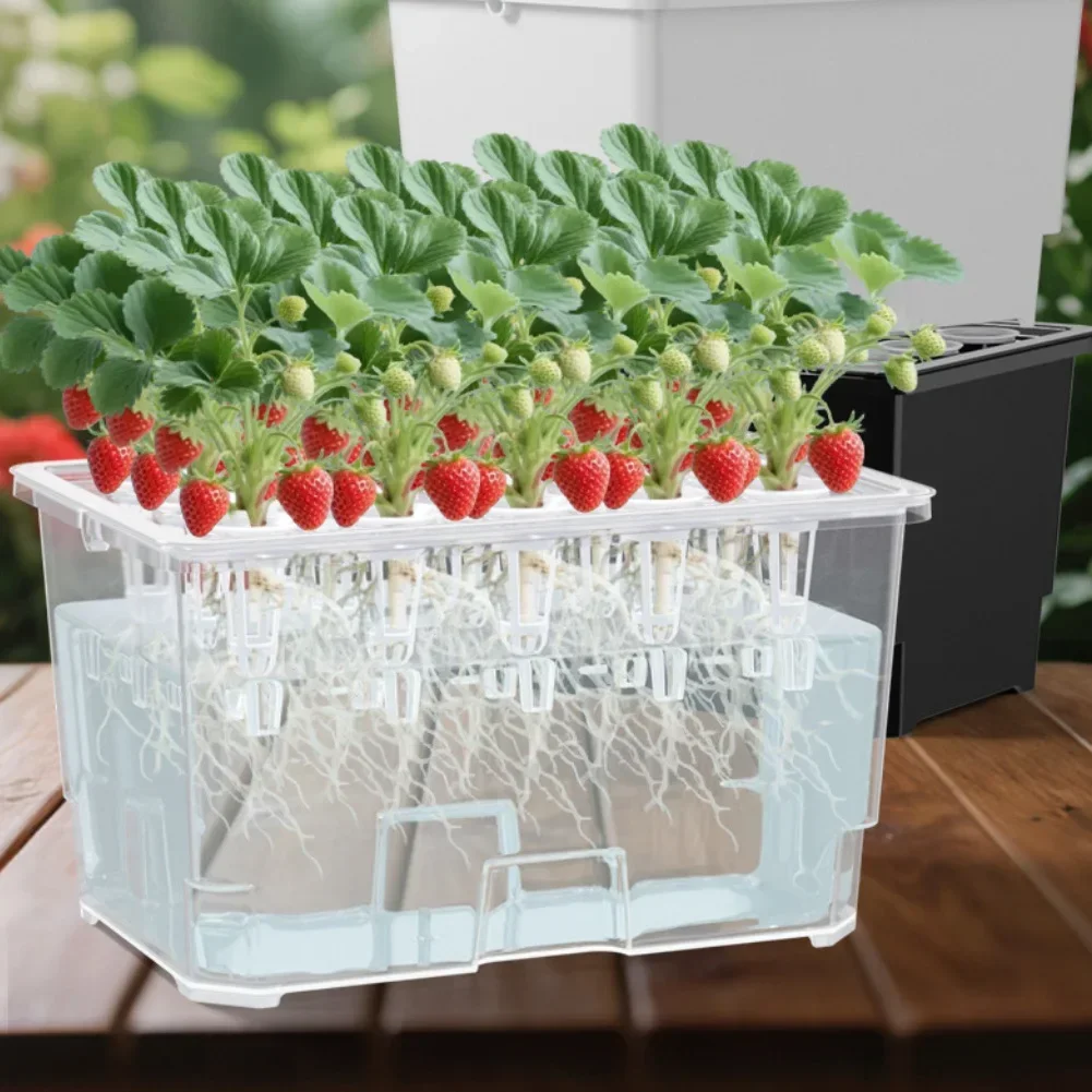 Compact Hydroponic Indoor Herb Garden System - Easy to Clean, 15 Plant Sites, 32x22x18cm