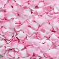 24 Pink with White