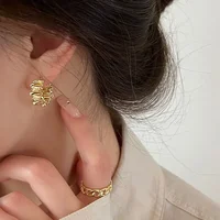 Personality Irregular Wavy Pleated Hoop Earrings for Women New Charm Gold Plated Stainless Steel Dangle Jewelry Accessories Gift - Image 5