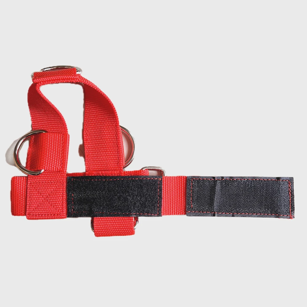 Ankle Support Straps Guard Buckle Adjustable D-Ring