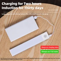 Motion Sensor Light Wireless LED Night Light USB Rechargeable Night Lamp Cabinet Wardrobe Lamp Under Backlight For Kitchen Led 3