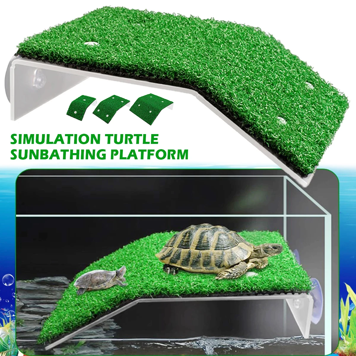 Turtle Basking Platform Ramp 2