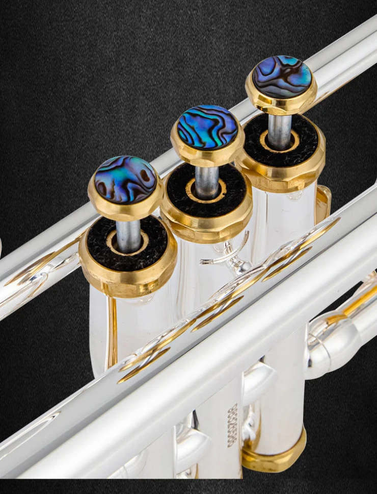 USA Bach Trumpet LT180S-37 Gold copper silver plating Trumpete trompete Professional Brass Instrument with Original Case