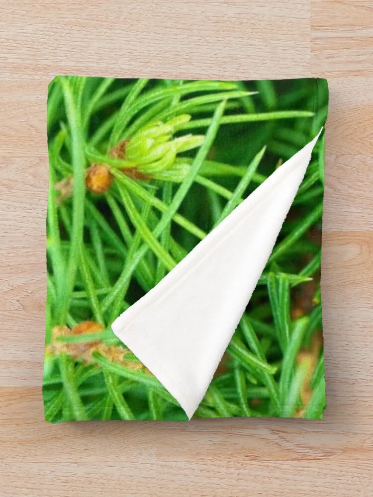 ���Ŀ� ��� ���, ũ�������� ����