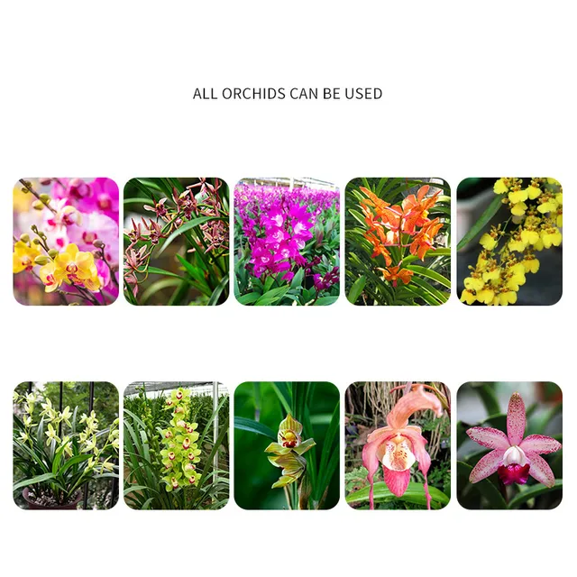 250 G Orchidea Speciális Műtrágya Hosszú Hatású Szemcsés Lassú Kiadású Importált Összetett Otthoni Kerthez - Image 3