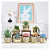 Golden succulent flower pot ceramic creative desktop flower pot flower pot living room decoration  vase decoration household 1