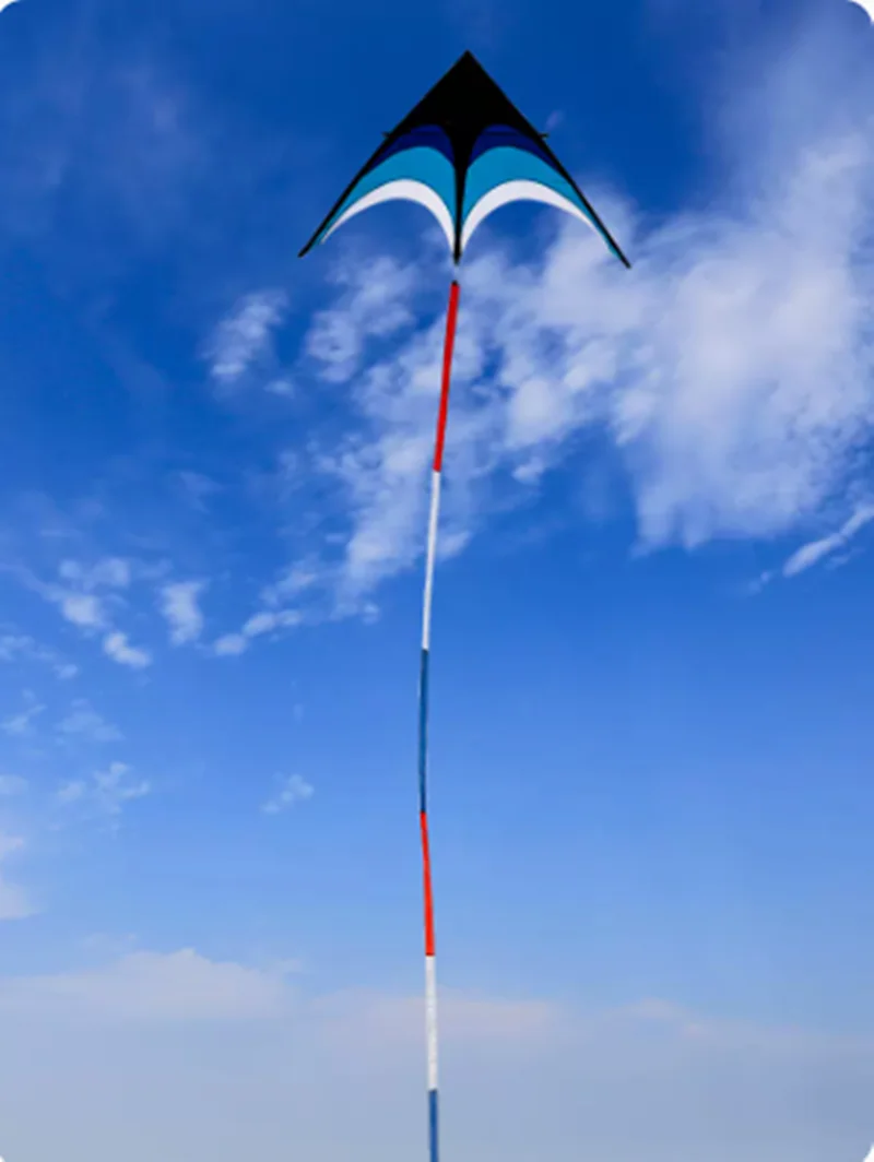 Children Kites Flying Toys Professional Cometas de Viento Gel Blaster Kite Flying Deportes-y-Ocio Kite Adults Fun Eagle Kite Colorful Rainbow Kite Delta Kite Butterfly Kite Stunt Kite Beach Kite Plastic Kite Parafoil Kite Power Parafoil Kite Snake Kite
