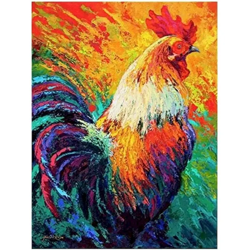 

GATYZTORY Diy Painting By Numbers For Adults Colorful Rooster Animals Cat Picture Acrylic Paint On Canvas Numbers For Home Decor
