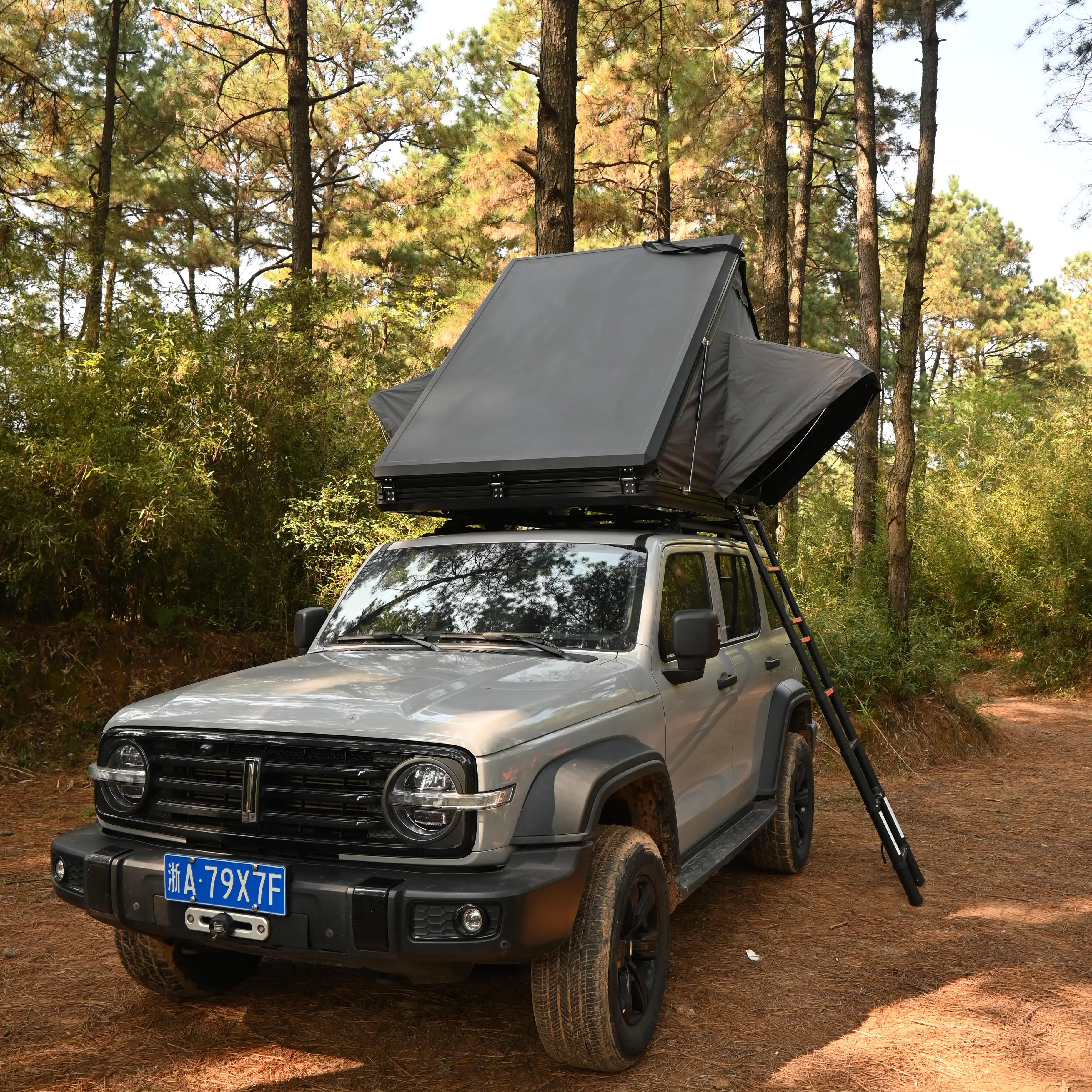

Новинка Rtt жесткий корпус на крышу палатка для автомобиля на крышу палатка на крышу Suv алюминиевый Расширенный выдвижной Abs тент на крышу жесткий корпус