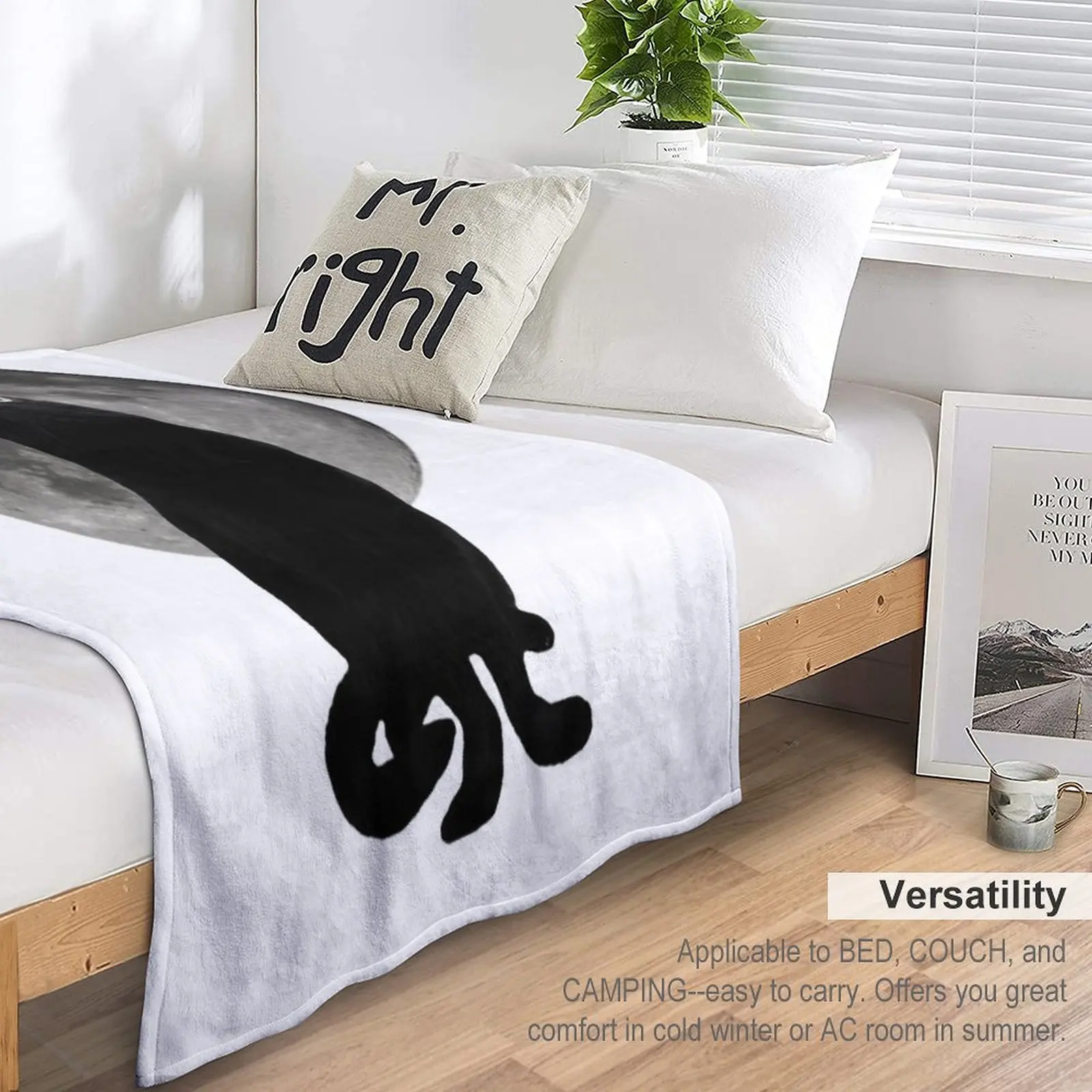 ¡ũ�� ������ �� ������ ���, �ִϸ��̼� �ʴ��� ������ ���, ħ�� ���