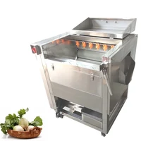 Easy to Operate Automatic Industrial 500kg/h Potato Ginger Roller Washer Brush Peeling Machine potato peeling machine 1