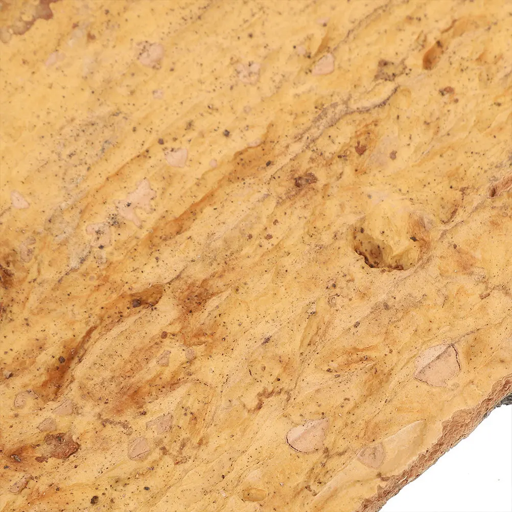 Natural Cork Bark Decor Set 3