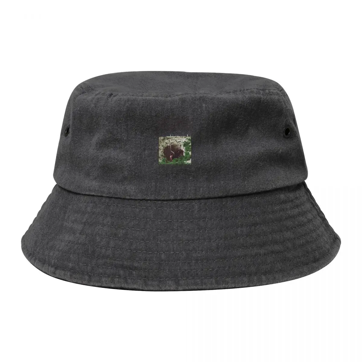 

Mystery Flesh Pit National Park Merch Bucket Hat Brand Man cap Sunscreen Kids Hat For Girls Men's