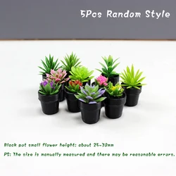 Set of 5 Miniature Dollhouse Fairy Garden Potted Plants - Desktop Home Ornament and Micro Scene Decoration (A1)