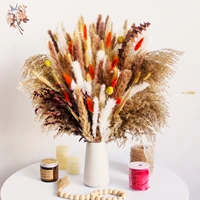 Fluffy Bunny Tails Grass Dried Flowers Pampas Bouquet