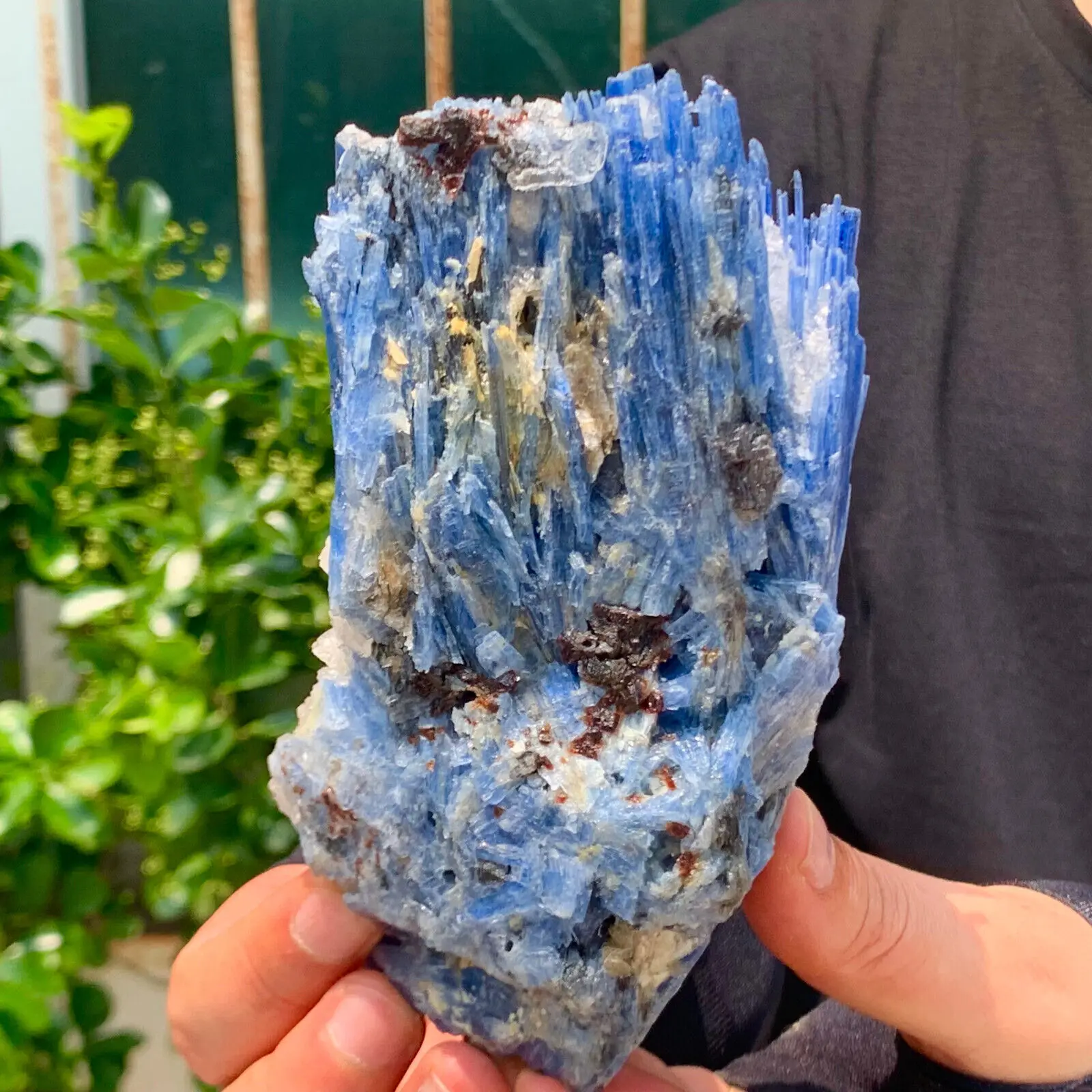 Rare Blue Kyanite Specimen