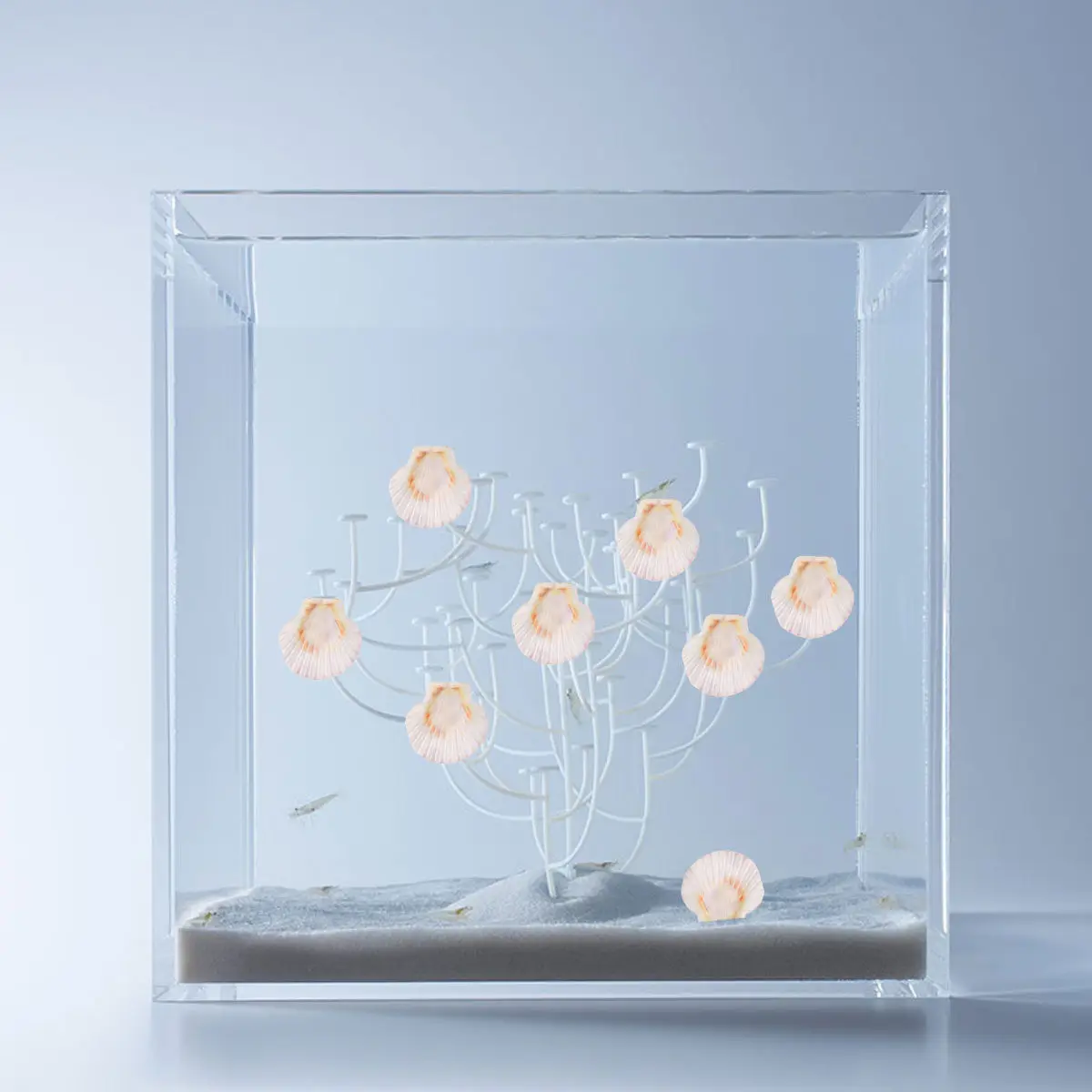 250G 천연 조개 장식품 혼합 사이즈 수족관 장식 어항 장식품 바다 스타일 풍경 액세서리 DIY