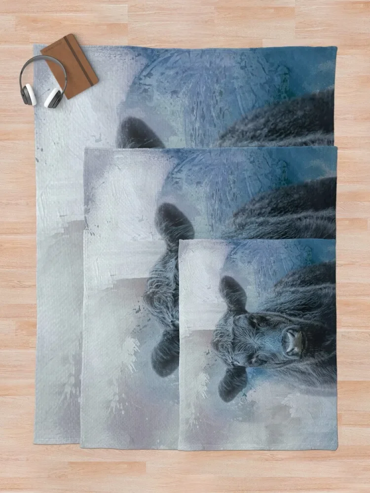 �� ���Ŀ� ���� �ֹ��� �ްŽ� �����ο� ���, ������ ���� ����, ���� ���