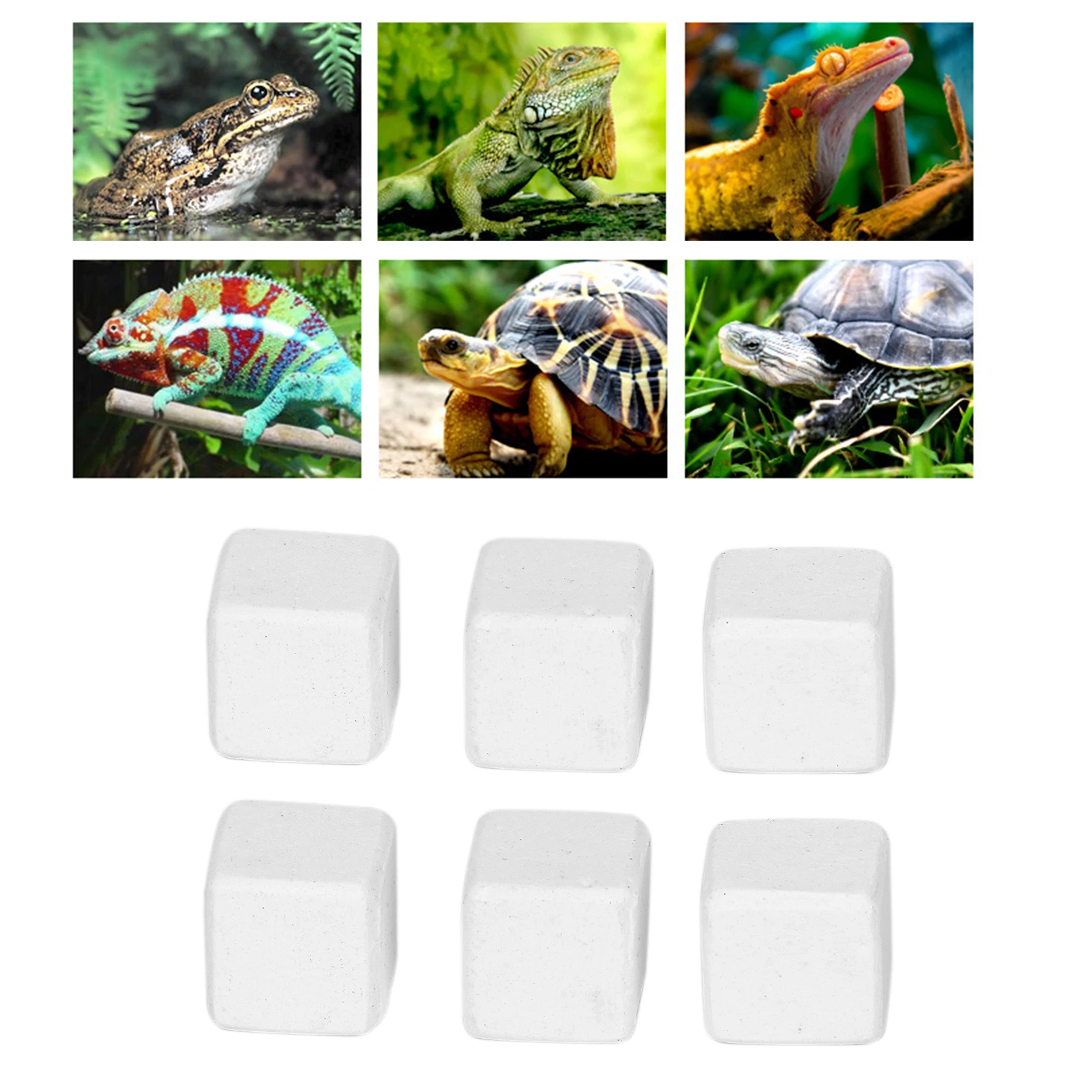 Fish Tank Mineral Calcium Stone Safe Fish Tank Calcium Stone for Daily for Terrestrial Animals Turtles Reptiles