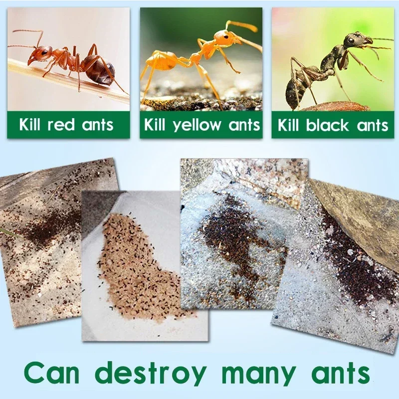 50 Pieces Strong Ant Bait Powder Yellow Black White Termites Ants Drug Medicine Effects Destroy Kill Nest Ant Bait