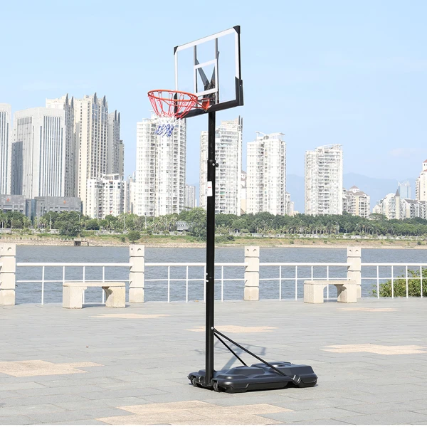 PC透明板 篮框可调节245-305cm 篮球架 成人款 最大适用7#球 N002 LX-B076-43