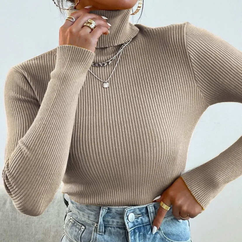 Women Autumn Winter Knitted Turtleneck Sweater