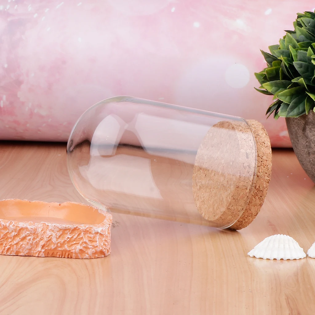 Modern Handcraft Glass Dome Cover Dry Flower Vase Wood Cork Base Landcrape Figurines Model Display Artwork 10Pcs glass display dome