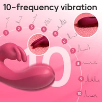 Kaninchen Vibrator für Frauen g Punkt Klitoris Stimulator 10 Geschwindigkeiten weibliche Vagina Mastur bator Doppel motoren Dildo Sexspielzeug für Erwachsene 2