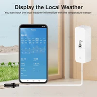 Tuya WiFi/ ZigbeeTemperature Humidity Sensor with External Probe for Smart Life App Alexa Google Assistant for Freezer Fish Tank - Image 6