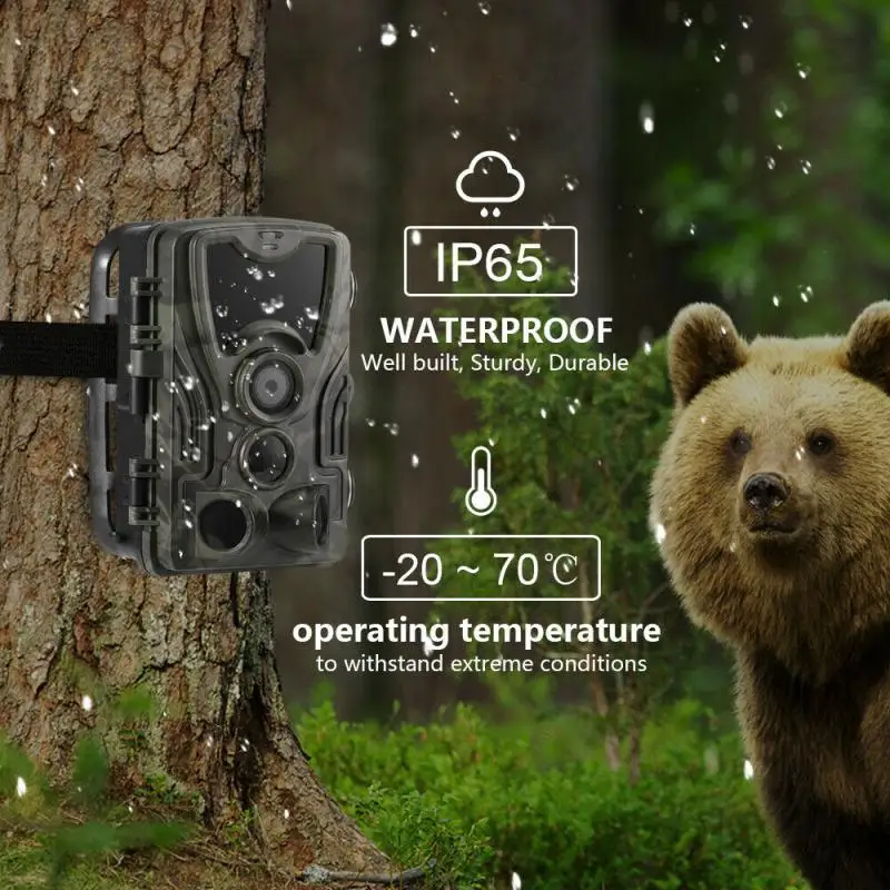 

1080P Outdoor Hunting Trail Camera with 5000 MAh Lithium Battery IP65 Waterproof Game Cam Photo Traps Wild Surveillance