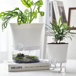 Transparent Self-Watering Hydroponic Planter for Succulents and Flowers