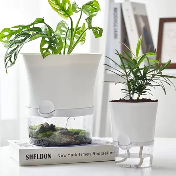 Pots de plantes auto-arrosage en plastique Transparent, Pot de fleur hydroponique paresseux absorbant l'eau pour plantes succulentes, Pot de fleurs de jardin 1