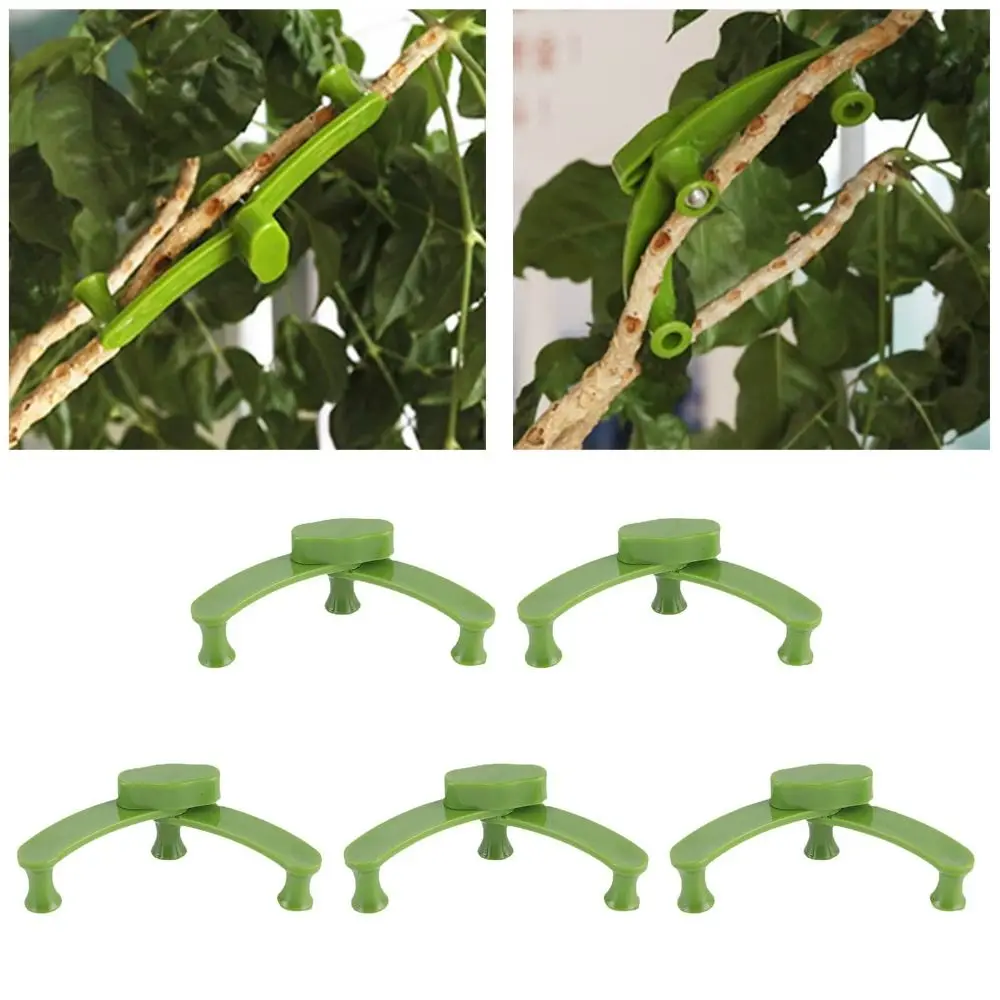 

Сгибатель для растений, Садовые принадлежности, держатель для ветвей, зажим для крепления растений