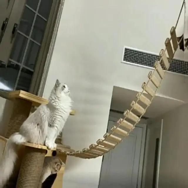 Cat Climbing Shelves Wall Mounted Kitty Nest & Perch Scratching Rope For Cat Claws Cat Scraper Furniture Cat Tree 3