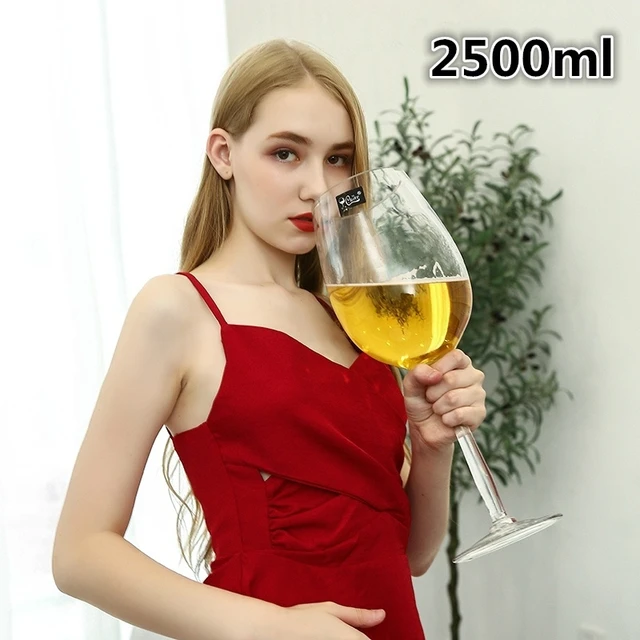 Giant Wine Glass and Beer Mug Combo - 3000ML Extra Large for