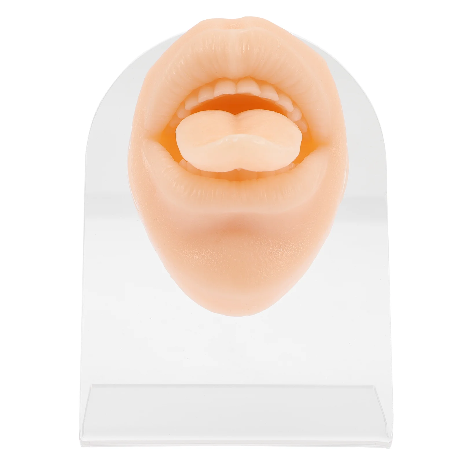 Silicone Simulation Tongue Model for Piercing Practice Piercing Ring Display