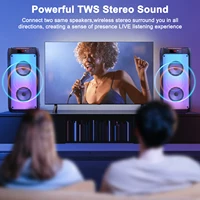 T10-T Wireless Bluetooth Speaker, Karaoke Machine with 2 Microphone, Home Karaoke Party Speaker with Led Light, Stage Subwoofers - Image 2