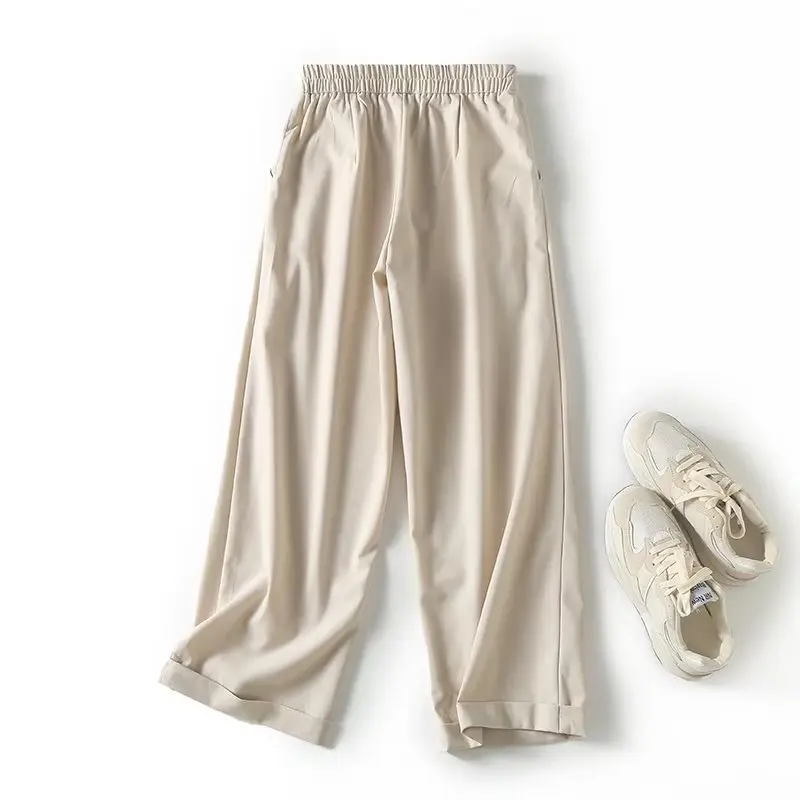 Dave&Di Japanese Style  Multi-Color Loose Simple Casual Pleated Pants High Waist Cotton Linen Commuter Trousers Ladies